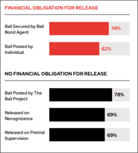 the bail project example