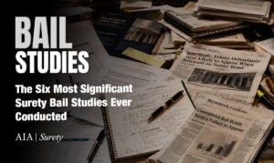 Bail Studies Series