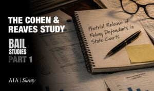 Bail Studies Series