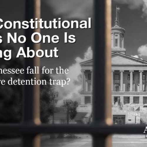 PART 2: The Constitutional Crisis No One is Talking About