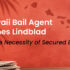Hawaii Bail Agent James Lindblad Writes a Compelling Article on the Necessity of Secured Bail